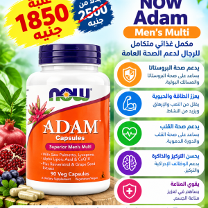 Now ADAM - OFFER